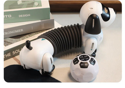 Intelligent Pet Trick Bot Programmable Wireless Controller