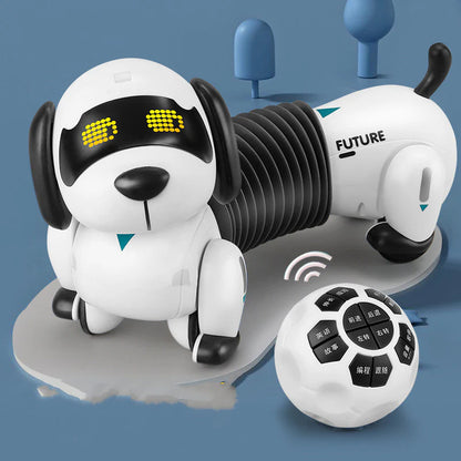 Intelligent Pet Trick Bot Programmable Wireless Controller