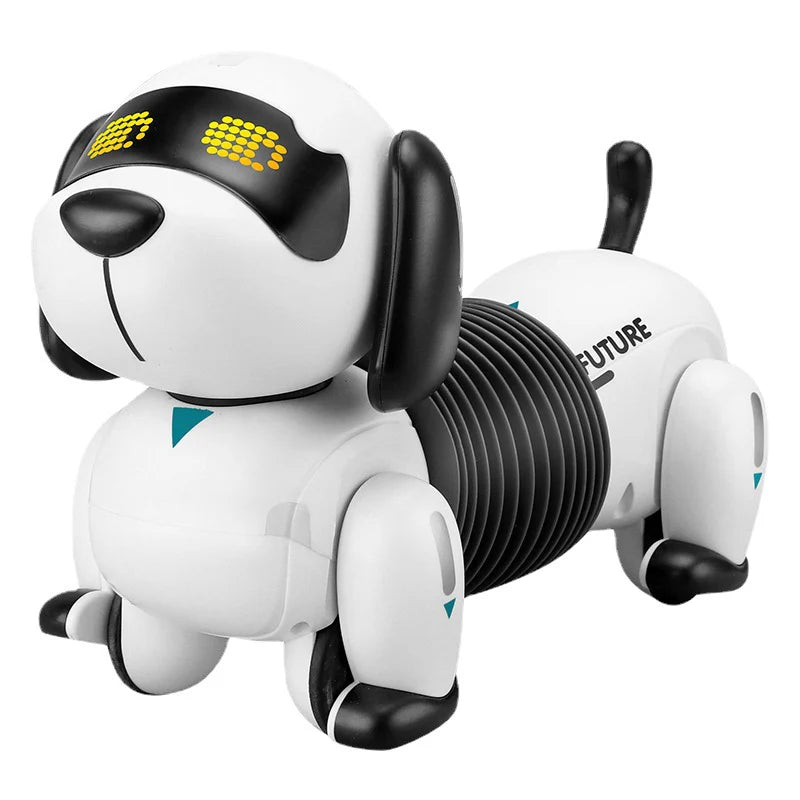 Intelligent Pet Trick Bot Programmable Wireless Controller